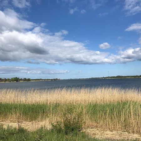 Strandgut Wackerballig Гелтинг Екстериор снимка
